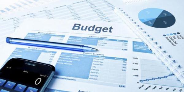 Бюджетные инвестиции: понятие, сущность, виды и назначение